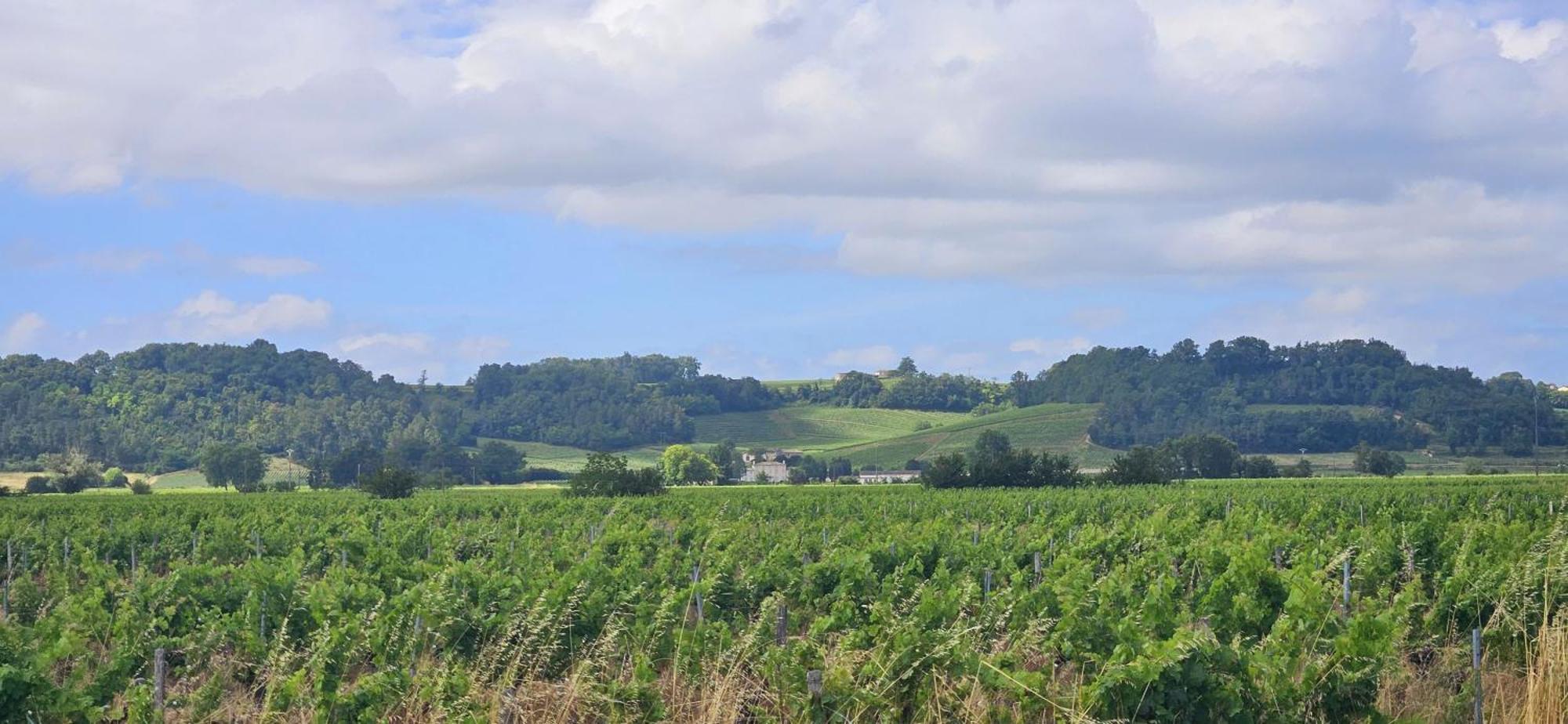 Chambres D'Hote & Gite Chateau Le Conte - Saint Emilion Exteriér fotografie
